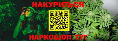 шишки Кинель