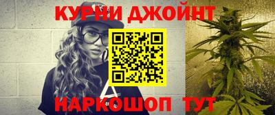 шишки Кинель