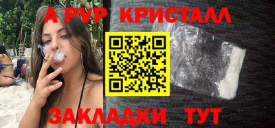 a pvp Кингисепп