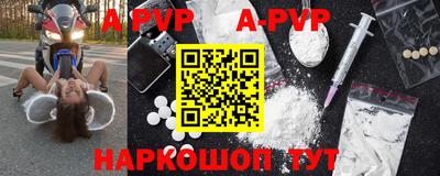 a pvp Кингисепп