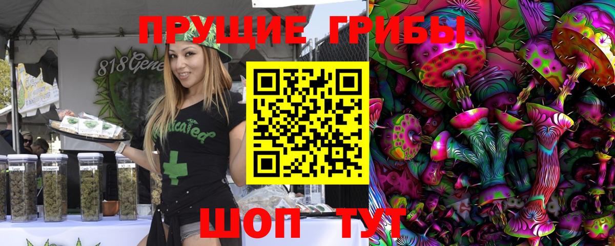Великий Устюг  Галлюциногенные грибы Cubensis  купить  цена  Вход с VPN 